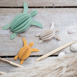 Havskildpadde - lille